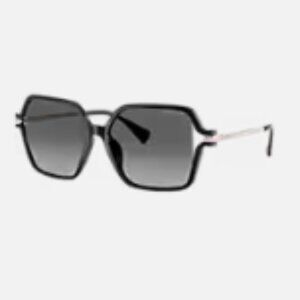 NWT Ralph Lauren Sunglasses-Polarized